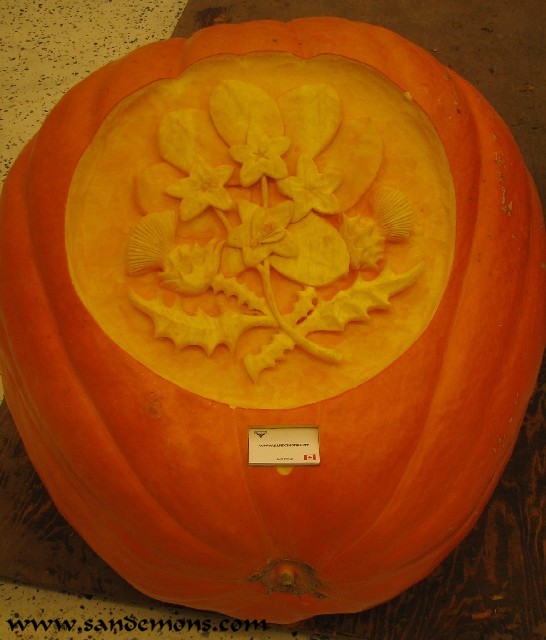 Weredevil - 500lb Pumpkin